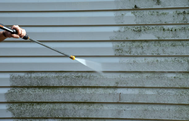 Best Local Mold Removal Service  in Califon, NJ