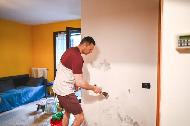Best Toxic Mold Removal  in Califon, NJ